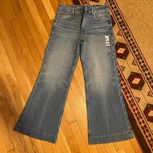 American Eagle Outfitters Light Blue Flare Jeans